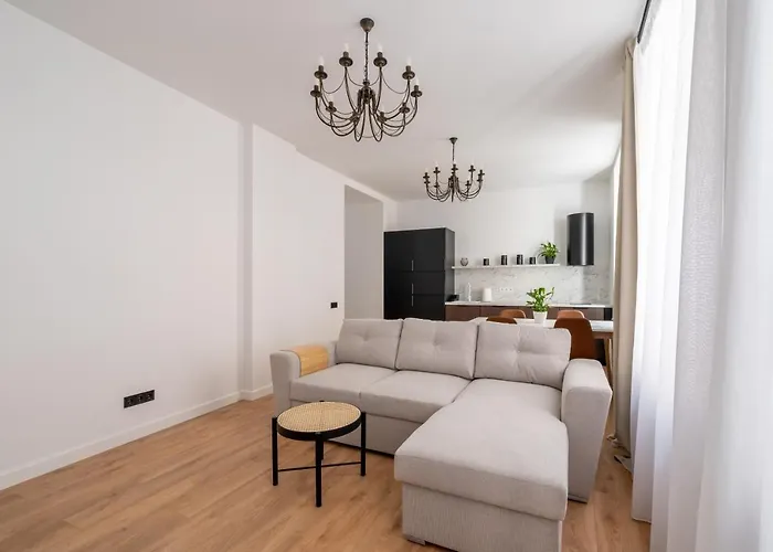 Spacious 1-bedroom In The Heart Of Old Town Apartment